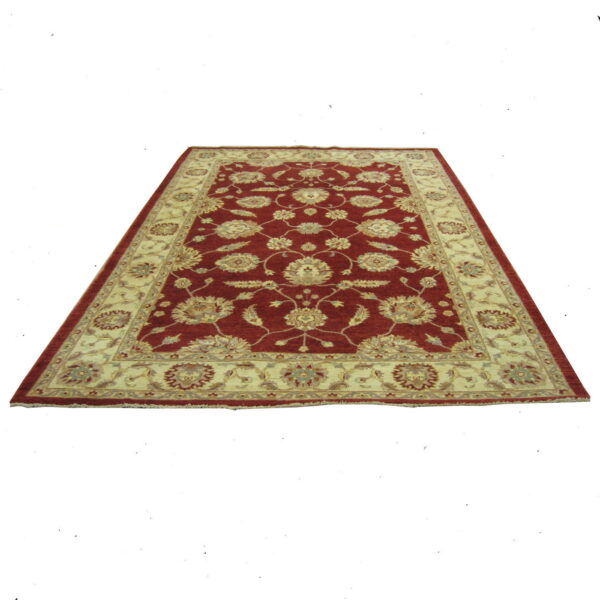 Chobi 6.6x10